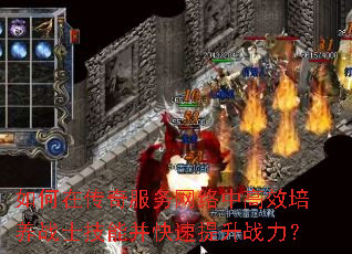 ڴиЧսʿܲս