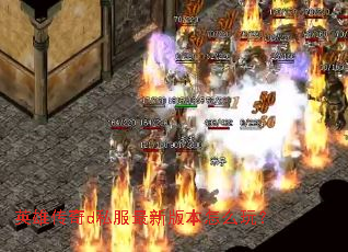 英雄传奇d私服最新版本怎么玩? 英雄传奇d私服最新版本怎么玩?