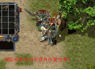 刺客施毒术如何提升伤害效果? 刺客施毒术如何提升伤害效果?