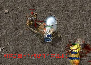 刺客施毒术如何提升伤害效果? 刺客施毒术如何提升伤害效果?