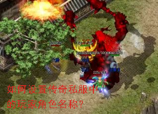 如何设置传奇私服中的玩家角色名称? 如何设置传奇私服中的玩家角色名称?