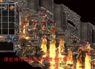 你觉得传奇私服中的道士厉害吗? 你觉得传奇私服中的道士厉害吗?