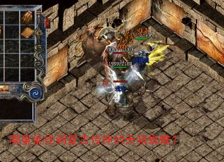 哪里能找到复古传神的天狼蜘蛛? 哪里能找到复古传神的天狼蜘蛛?