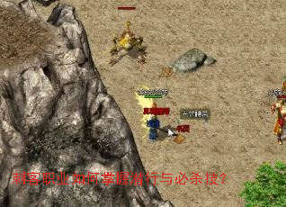 刺客职业如何掌握潜行与必杀技? 刺客职业如何掌握潜行与必杀技?