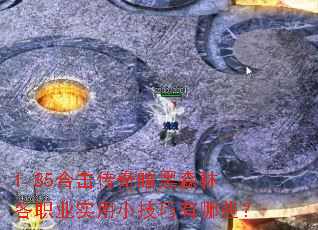 1.85ϻ氵ɭְָҵʵСЩ