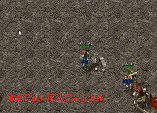 道士职业如何发挥合击优势? 道士职业如何发挥合击优势?