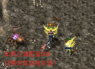 �����ȷ����GOM�����΢�˷�������