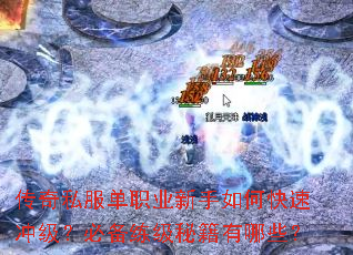����˽����ְҵ������ο��ٳ弶���ر������ؼ�����Щ��
