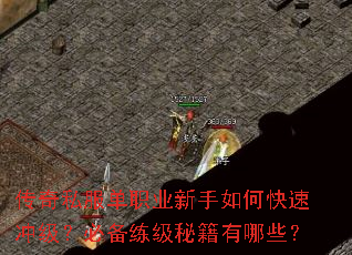 ����˽����ְҵ������ο��ٳ弶���ر������ؼ�����Щ��
