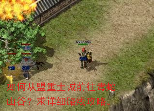 如何从盟重土城前往毒蛇山谷?求详细路线攻略。 如何从盟重土城前往毒蛇山谷?求详细路线攻略。