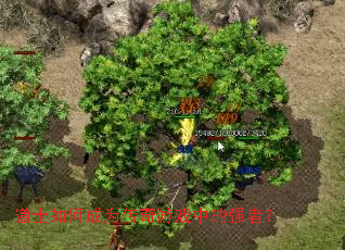 ��ʿ��γ�Ϊ������Ϸ�е�ǿ�ߣ�