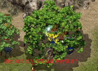 ��ʿ��γ�Ϊ������Ϸ�е�ǿ�ߣ�