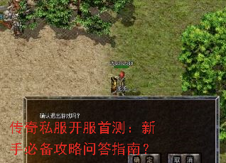 传奇私服开服首测:新手必备攻略问答指南? 传奇私服开服首测:新手必备攻略问答指南?