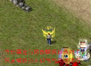 ��������Ϊ����˲����ɱ���֣���Ƚ������˻�����ʵս����