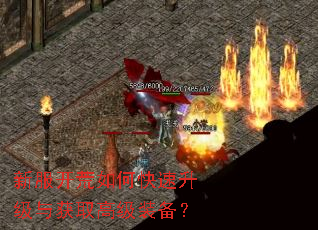 新服开荒如何快速升级与获取高级装备? 新服开荒如何快速升级与获取高级装备?