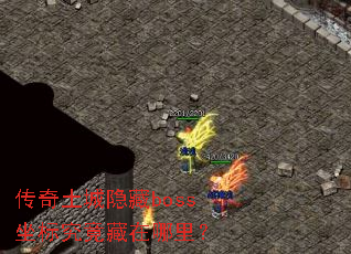 ������������boss���꾿���������