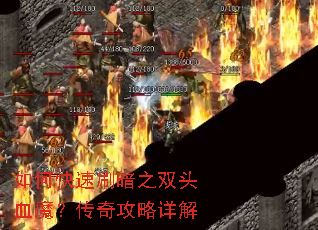 ��ο���ˢ��֮˫ͷѪħ�����湥�����