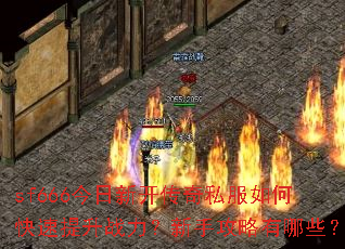 sf666�����¿�����˽����ο�������ս�������ֹ�������Щ��