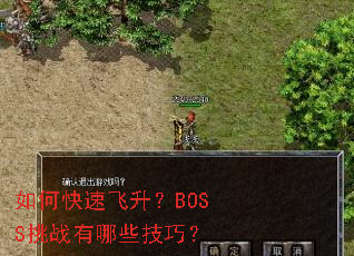��ο��ٷ�����BOSS��ս����Щ���ɣ�