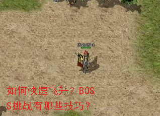 ��ο��ٷ�����BOSS��ս����Щ���ɣ�