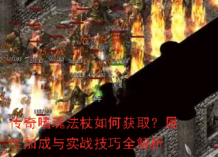 �����Ȼ귨����λ�ȡ�����Լӳ���ʵս����ȫ����