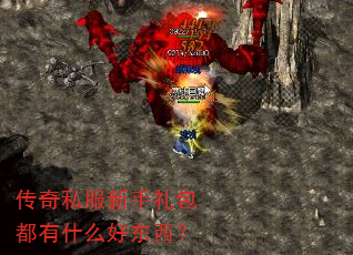 ˽ʲôö