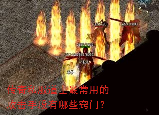 ˽ʿõĹֶЩţ