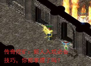 ڿӱرɣ㶼
