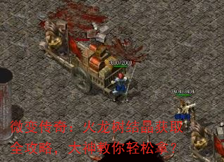 ΢䴫棺ᾧȡȫԣã