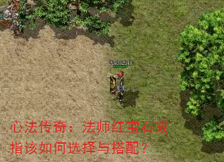 ķ棺ʦ챦ʯָѡ䣿