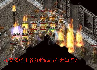 涾ɽȺbossʵΣ