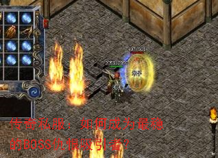 ˽γΪȵBOSSߣ