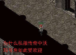 Ϊʲô˽Žܻӭ