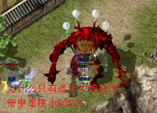 ΪʲôֻеʿڴﵥСBOSS