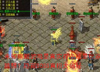 δ֪ļʵڻ룿BOSS