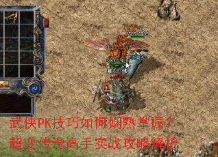 PKգ䴫ʵսԽ