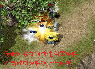 οٻ۾飿Чˢ鼼ȫ