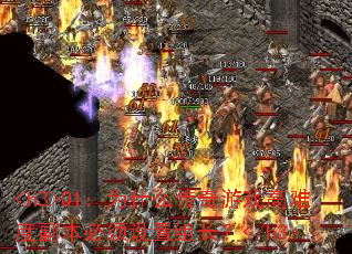 <h3>Q1ΪʲôϷѶȸ鳤</h3>