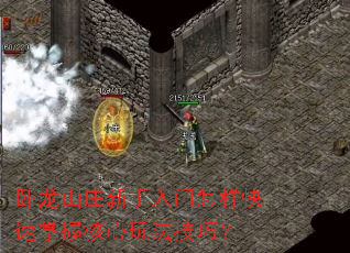 ɽׯպ淨ɣ