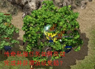 ˽θЧɲȡ