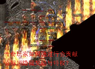 ͨлṱֵؽȨ