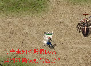 δ֪boss׼ȷʶ֣