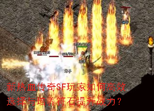 ѪSFθЧѡʯս