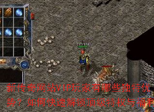 ´վVIPЩƣοٽȨ븣