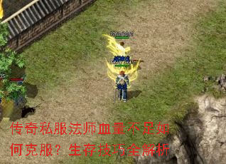 传奇私服法师血量不足如何克服?生存技巧全解析 传奇私服法师血量不足如何克服?生存技巧全解析