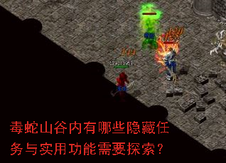 毒蛇山谷内有哪些隐藏任务与实用功能需要探索? 毒蛇山谷内有哪些隐藏任务与实用功能需要探索?