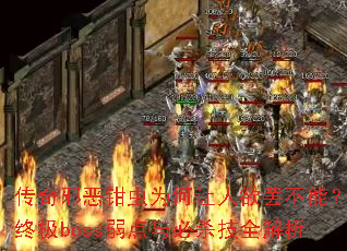 аǯΪղܣռbossɱȫ