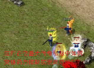 法师在仿盛大传奇私服中如何突破药力限制实现高效续航? 法师在仿盛大传奇私服中如何突破药力限制实现高效续航?
