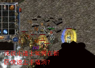 浅谈小道士如何在新区快速上手猪洞? 浅谈小道士如何在新区快速上手猪洞?