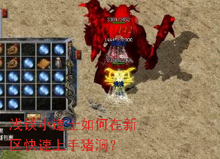 浅谈小道士如何在新区快速上手猪洞? 浅谈小道士如何在新区快速上手猪洞?